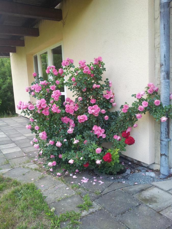 Ferienwohnung Am Spreeradweg Neusalza-Spremberg Exterior photo